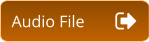 Audio File